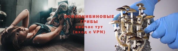 дмт Протвино