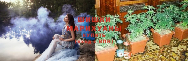 гидропоника Армянск