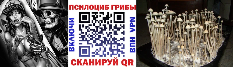 Галлюциногенные грибы мухоморы  Заозёрск 